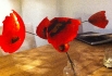 img_0505 img_0505
