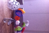 img_0547 img_0547
